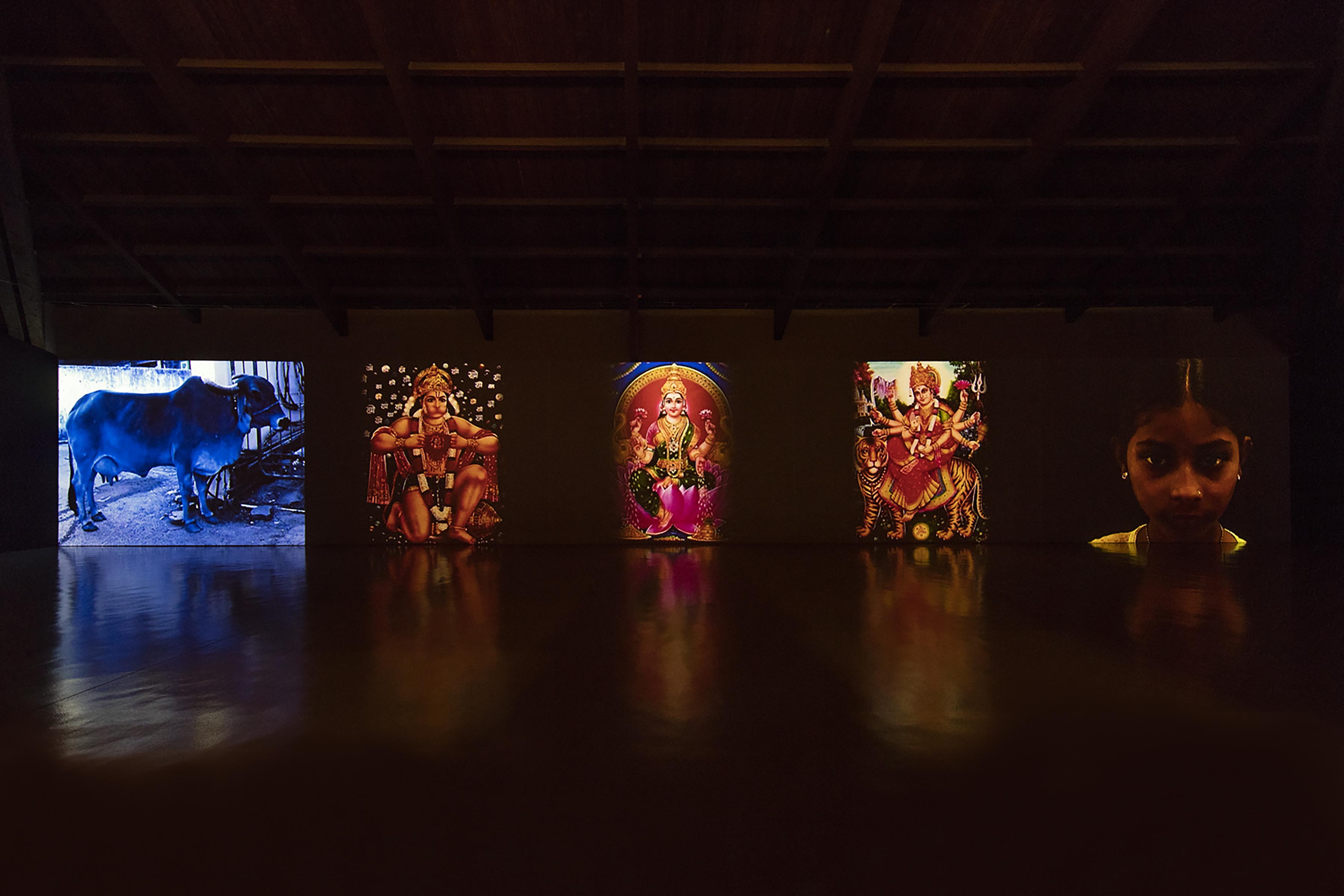 Nalini Malani, Mother India: Transactions in the Costruction of Pain, 2005